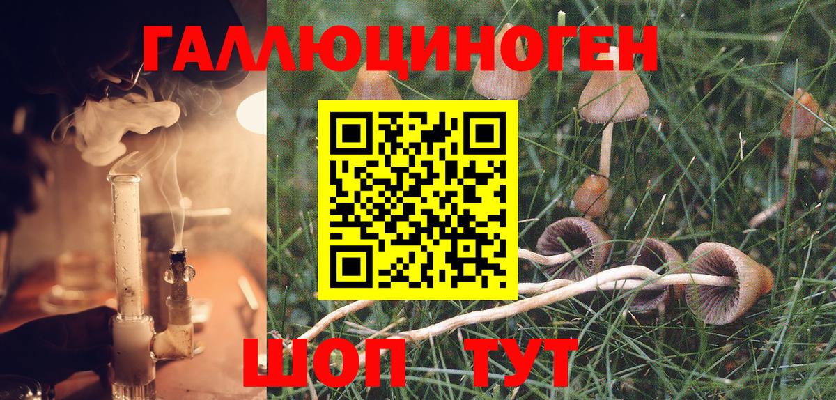 Усть-Джегута  Галлюциногенные грибы Psilocybine cubensis  Вход с VPN 