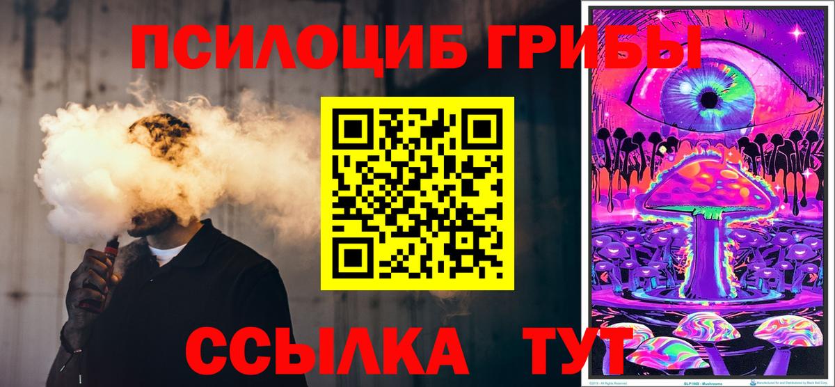Псилоцибиновые грибы Psilocybine cubensis Усть-Джегута