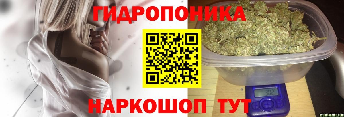 Усть-Джегута  Каннабис конопля  Бошки марихуана Ganja  Вход с VPN 